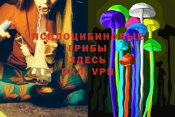 стафф Алексеевка