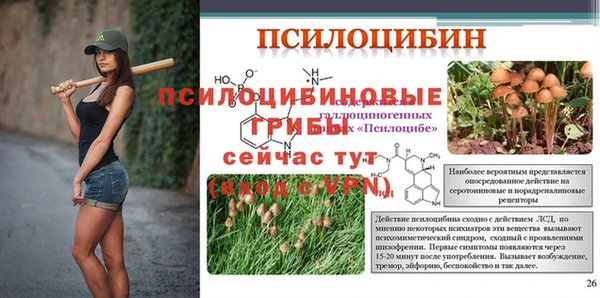 а пвп мука Алзамай