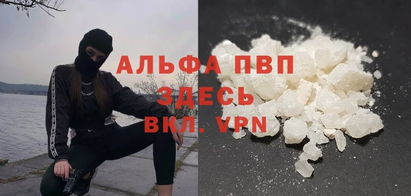 винт Абаза