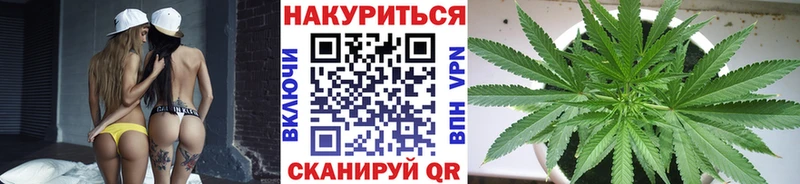 МАРИХУАНА гибрид  купить  цена  МЕГА как войти  Ессентукская 